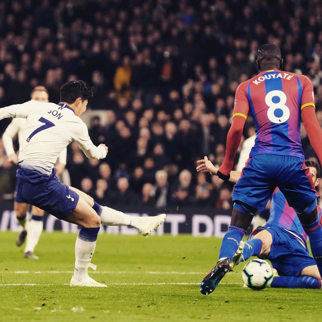 金博洋选择 金博洋选择